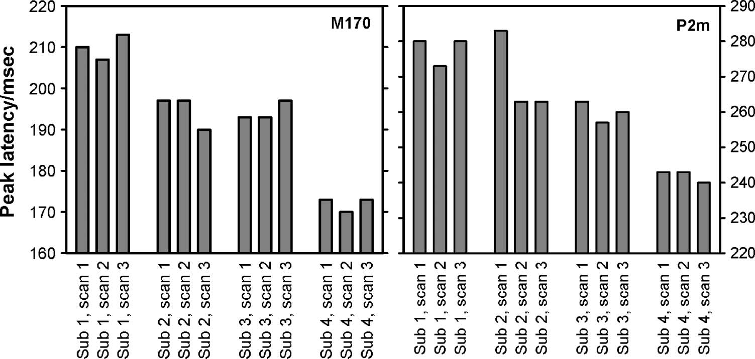 Magnetoencephalographic Activity Related to Conscious image