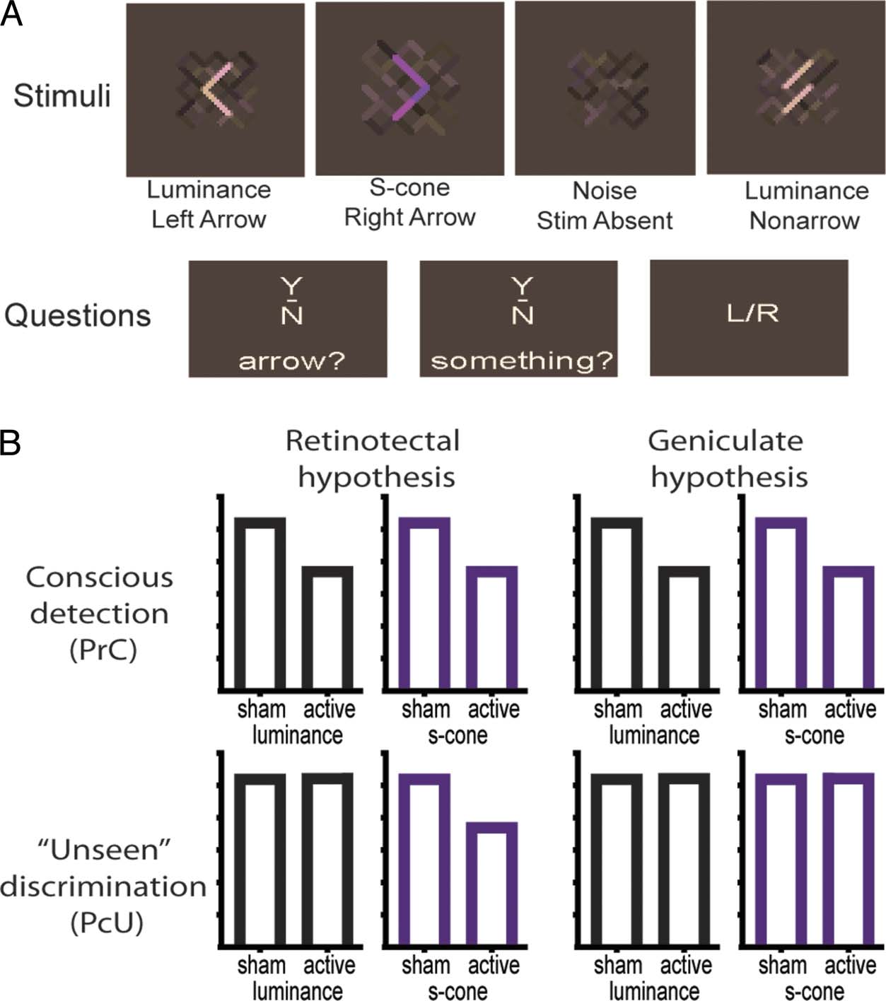 The Timing and Neuroanatomy of Conscious Vision as image