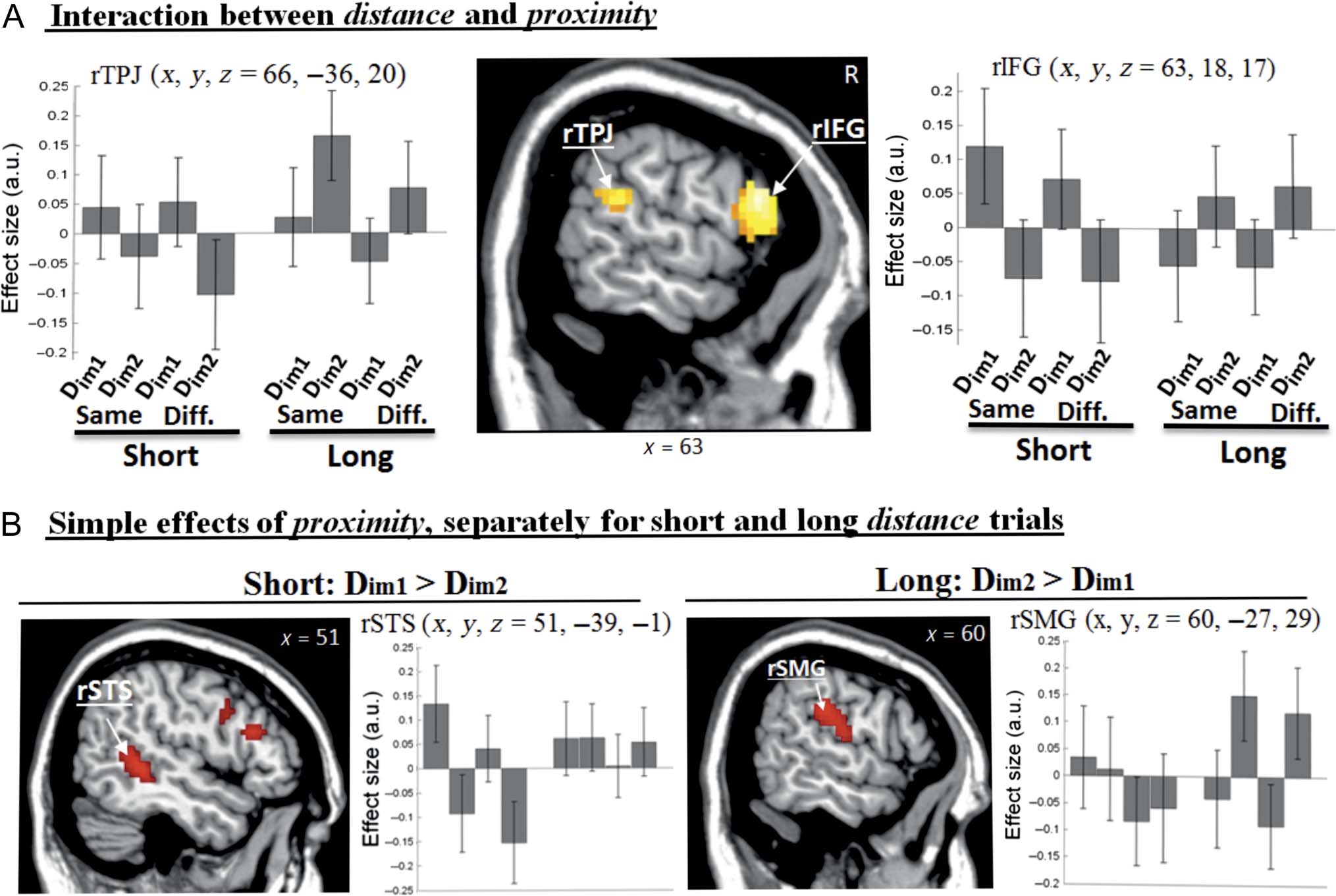 Set-relevance Determines the Impact of Distractors on image