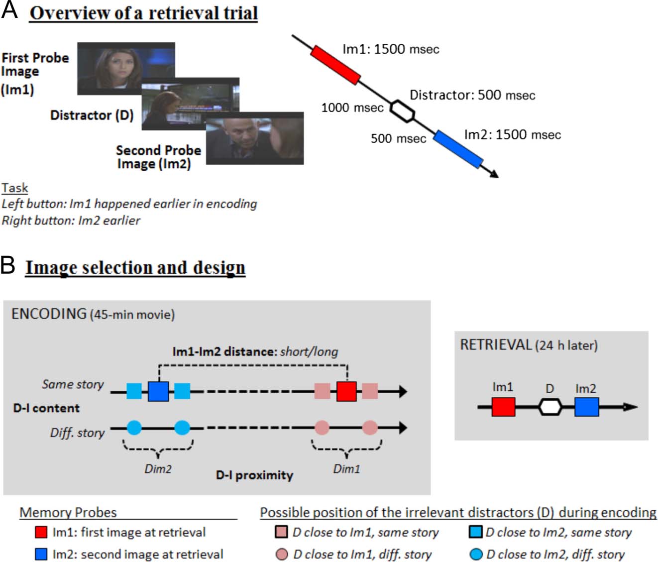 Set-relevance Determines the Impact of Distractors on image