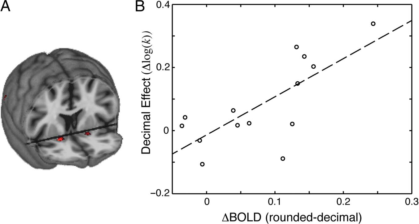 The Decimal Effect: Behavioral and Neural Bases for image