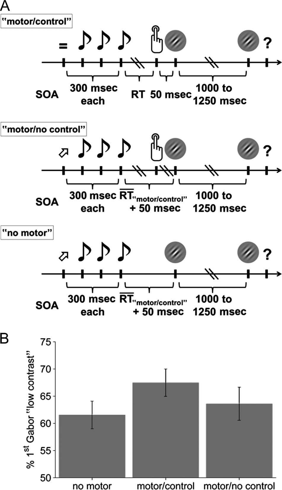 Enhanced Alpha-oscillations in Visual Cortex during image