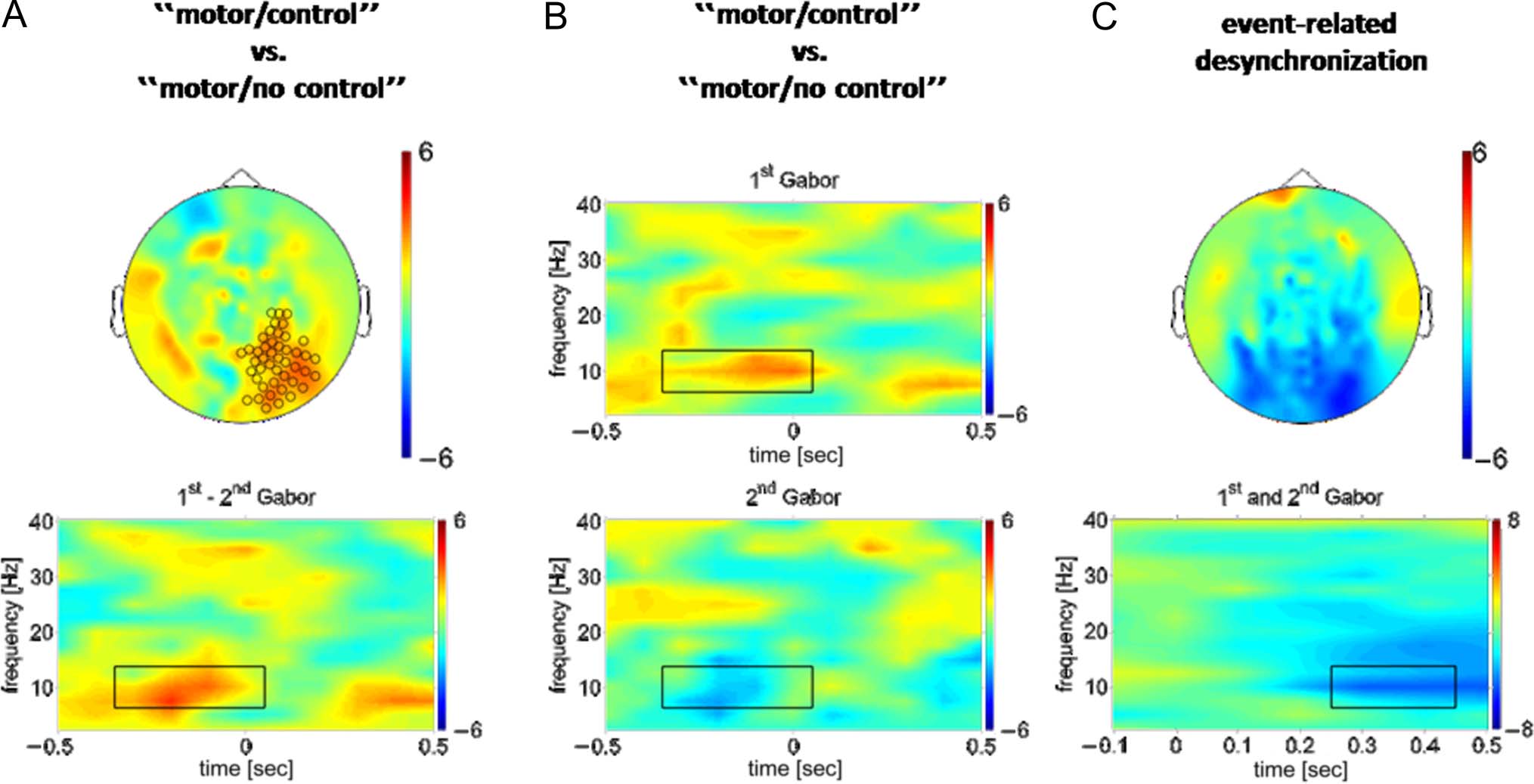 Enhanced Alpha-oscillations in Visual Cortex during image