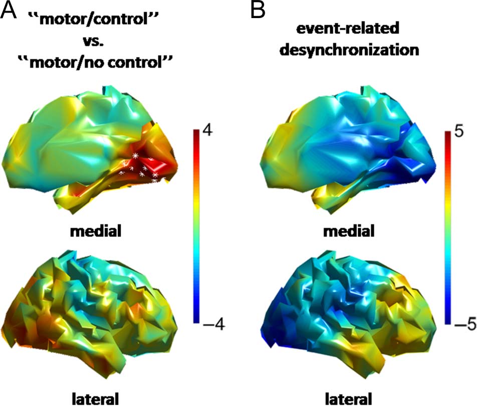 Enhanced Alpha-oscillations in Visual Cortex during image