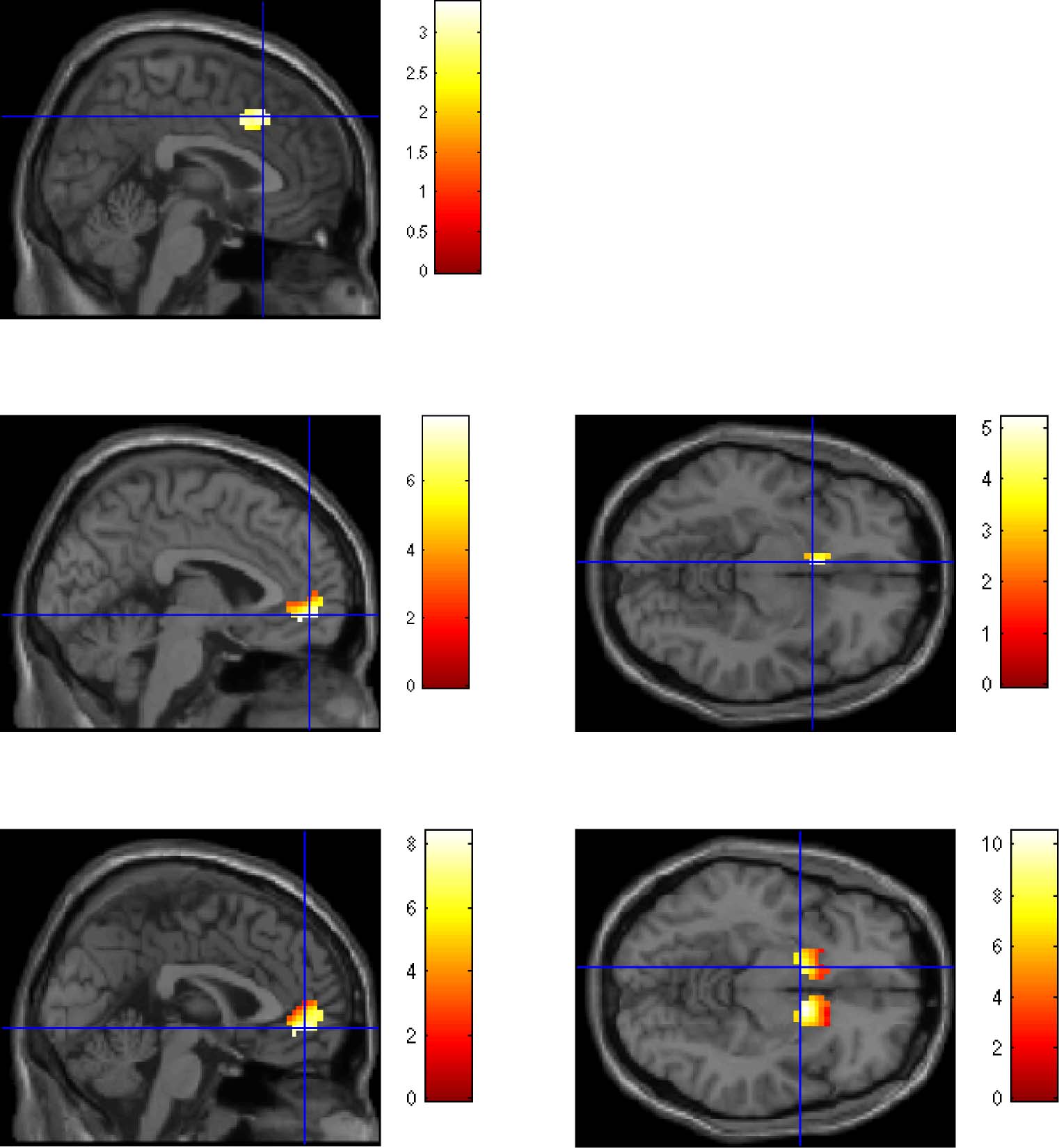 Adolescents Adapt More Slowly than Adults to image