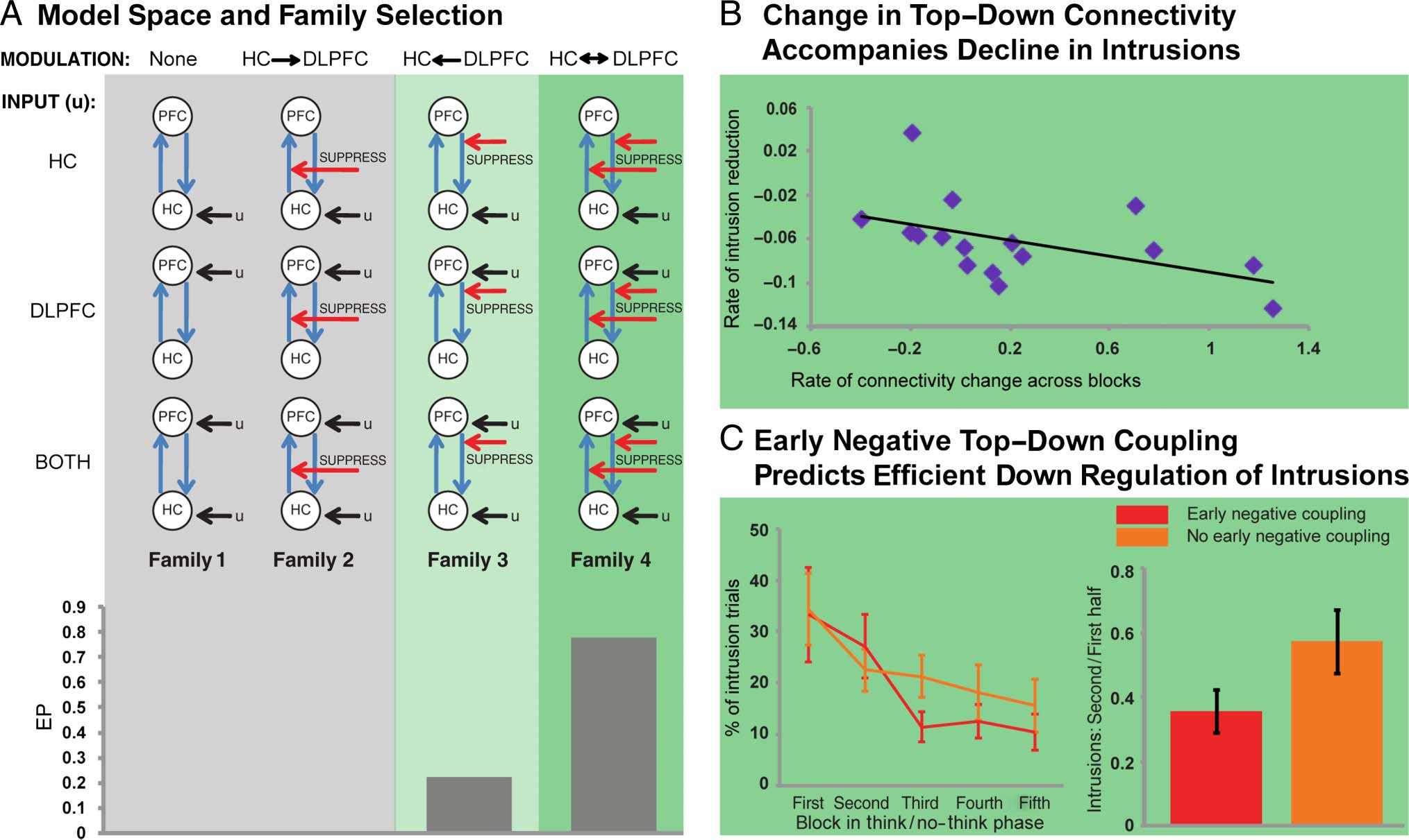 Adaptive Top–Down Suppression of Hippocampal image