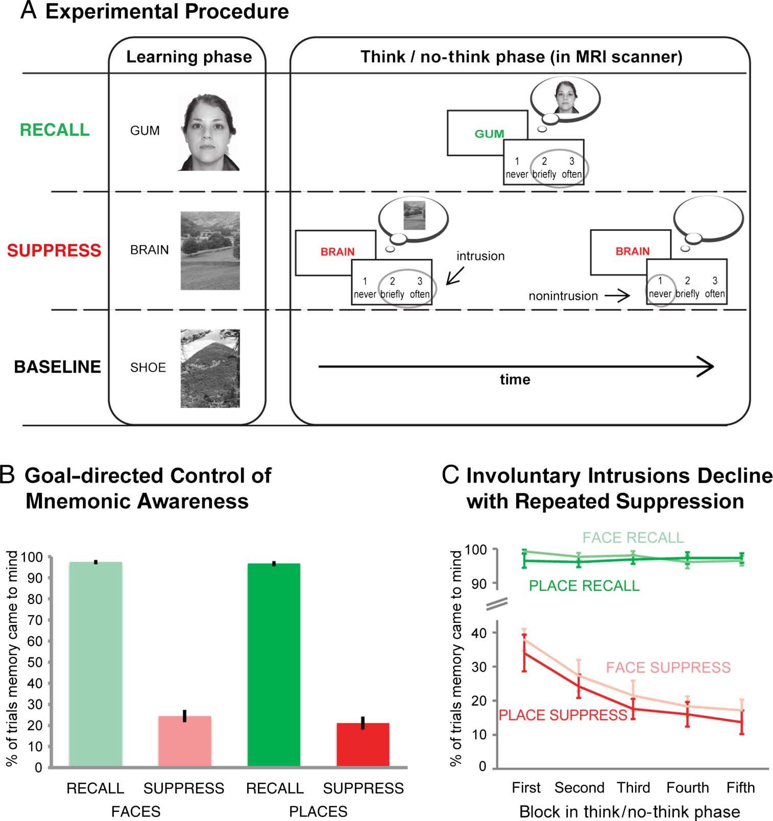 Adaptive Top–Down Suppression of Hippocampal image