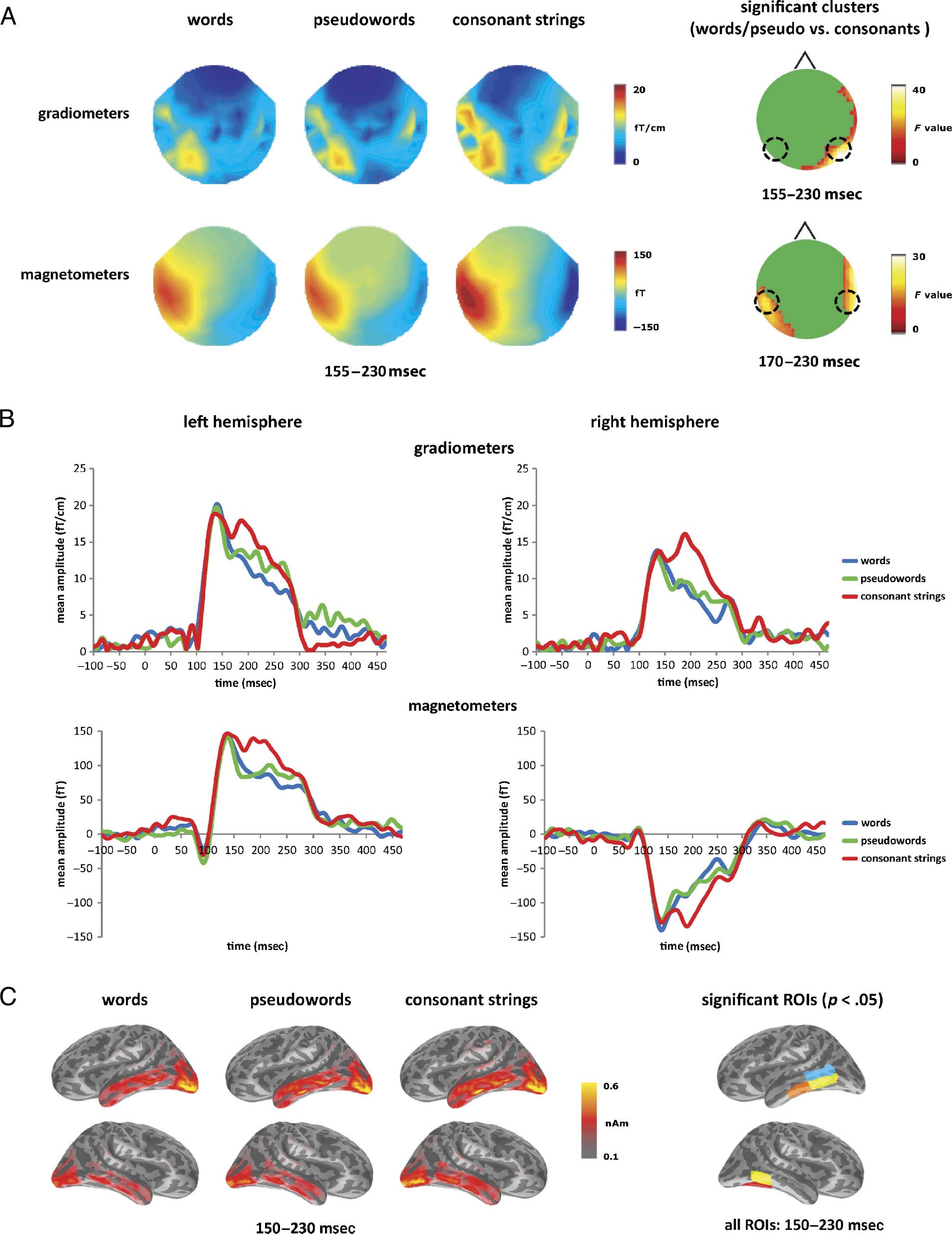 Real-time Functional Architecture of Visual image