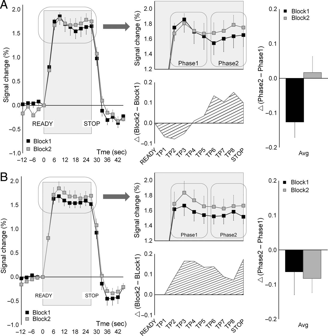 Patterns of Modulation in the Activity and Connectivity image