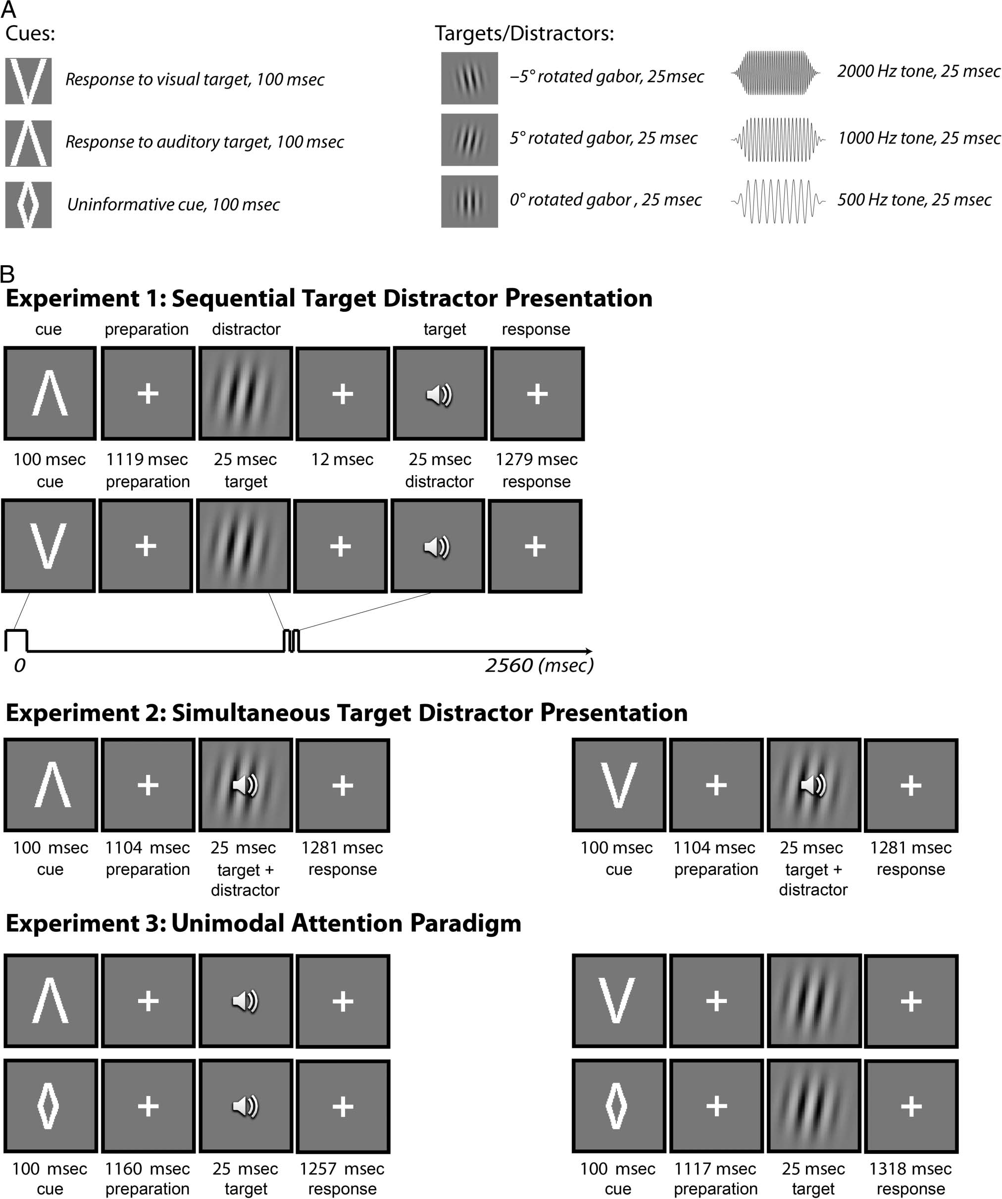 Attention and Temporal Expectations Modulate Power, image