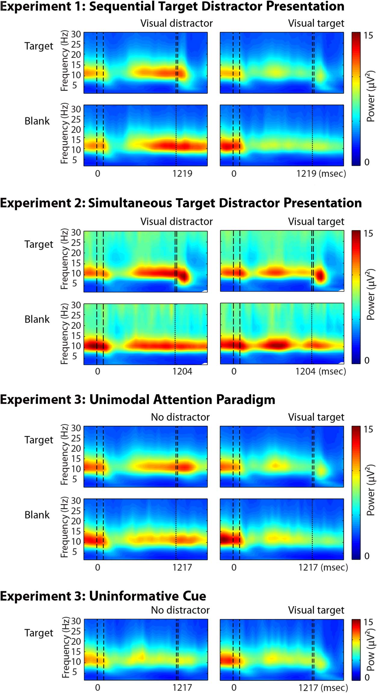 Attention and Temporal Expectations Modulate Power, image