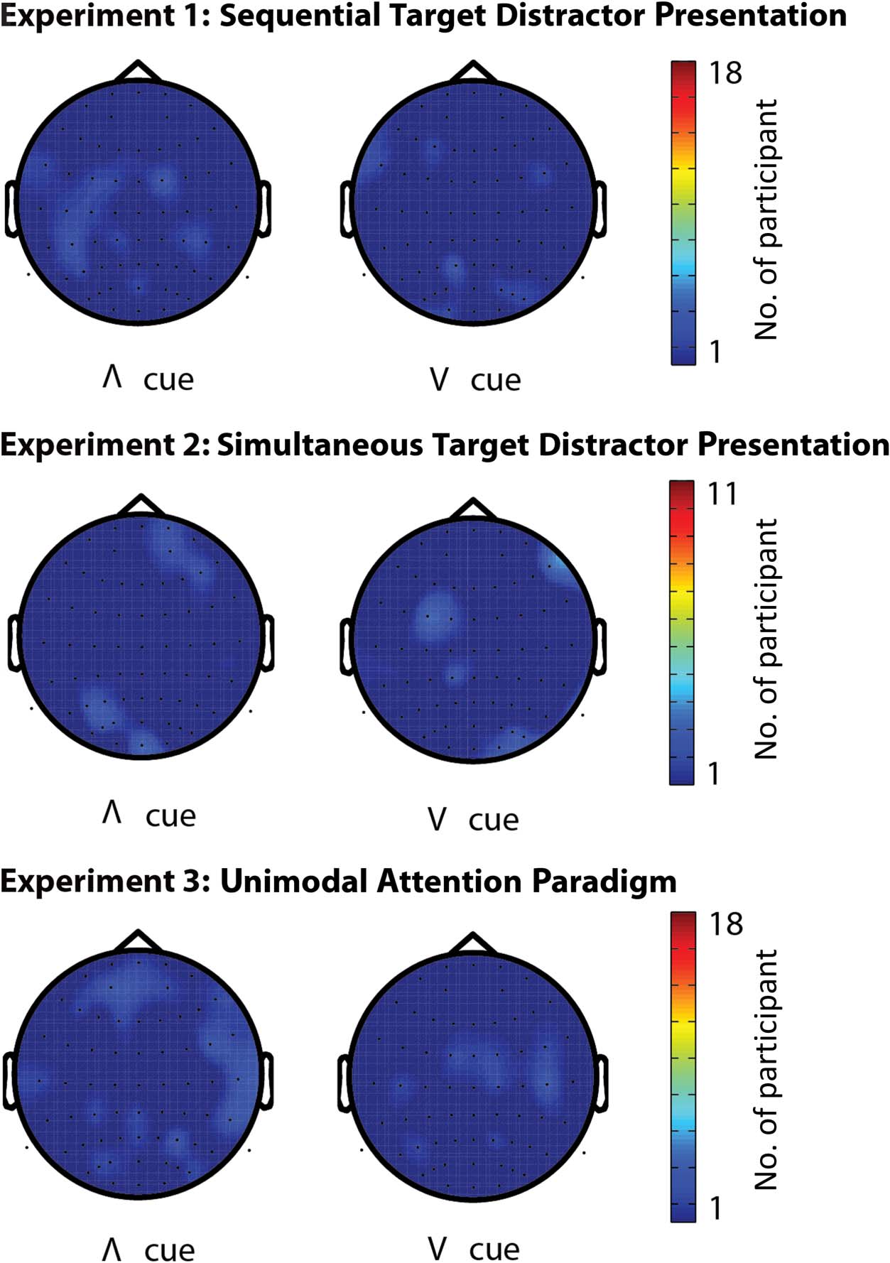 Attention and Temporal Expectations Modulate Power, image