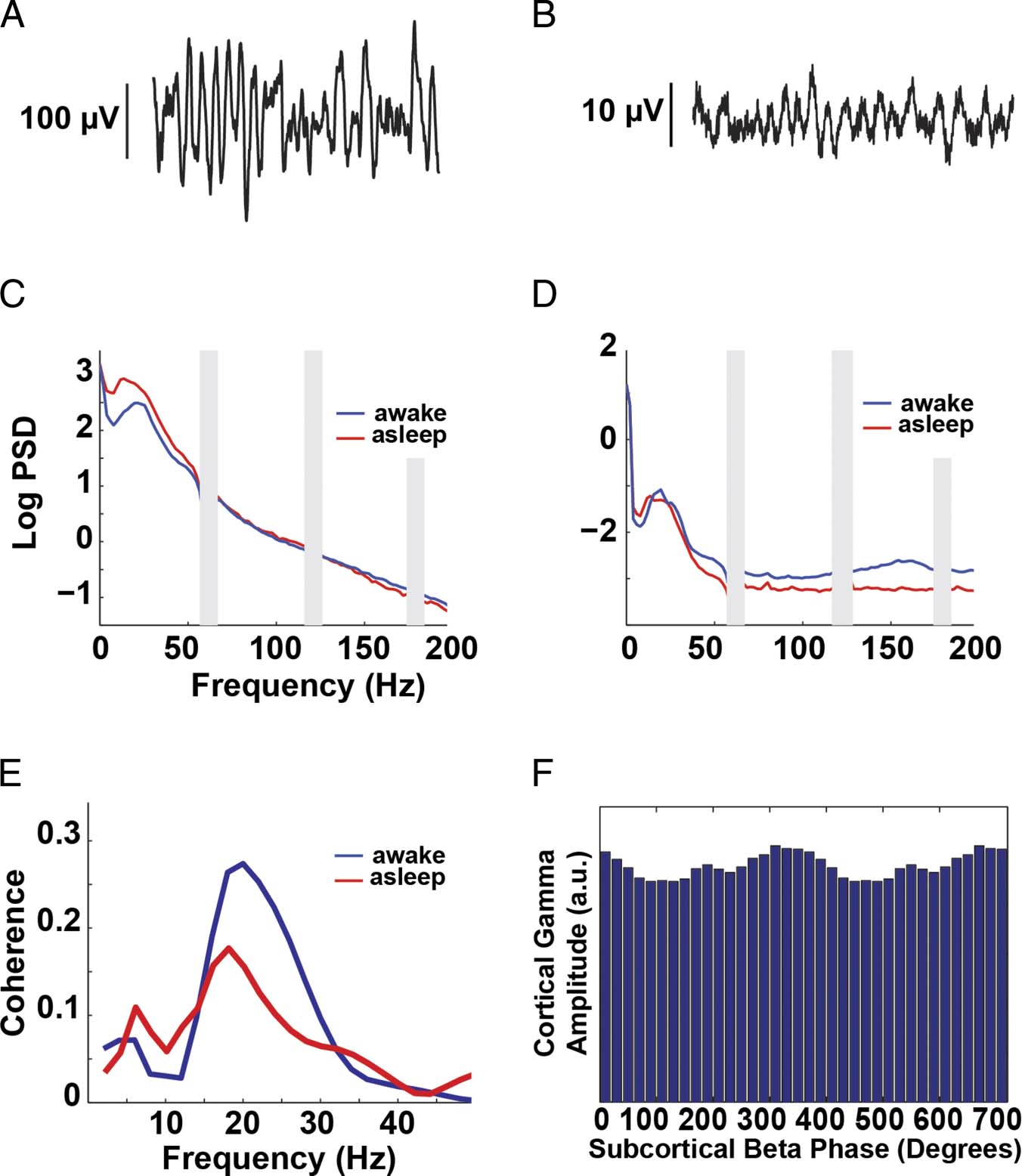 Motor System Interactions in the Beta Band Decrease image