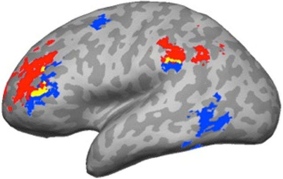 The Semantics of Syntax: The Grounding of Transitive image