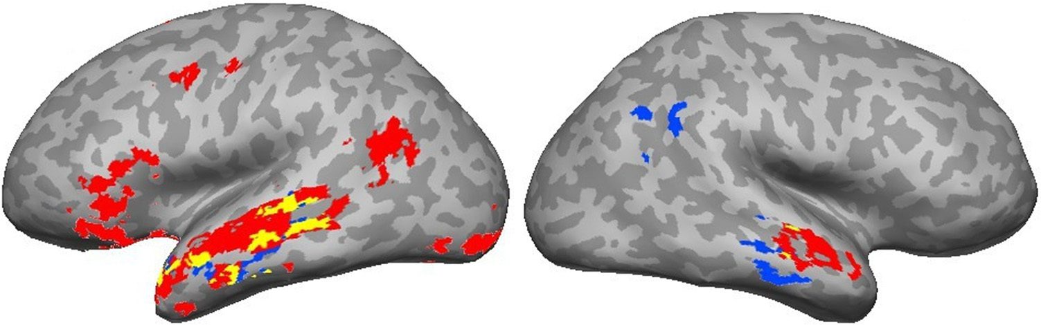 The Semantics of Syntax: The Grounding of Transitive image