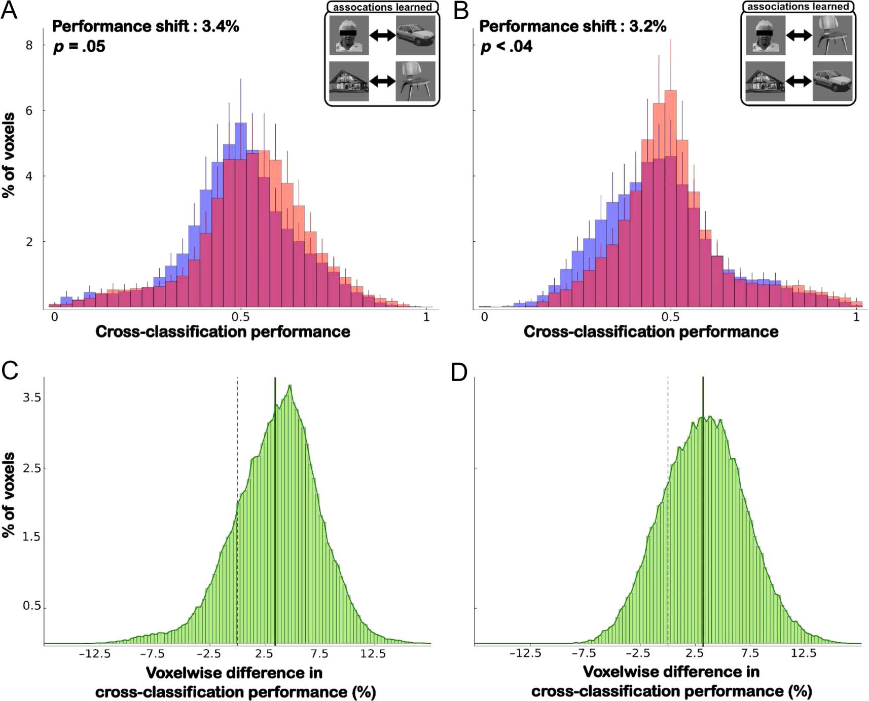 Multivoxel Object Representations in Adult Human Visual image