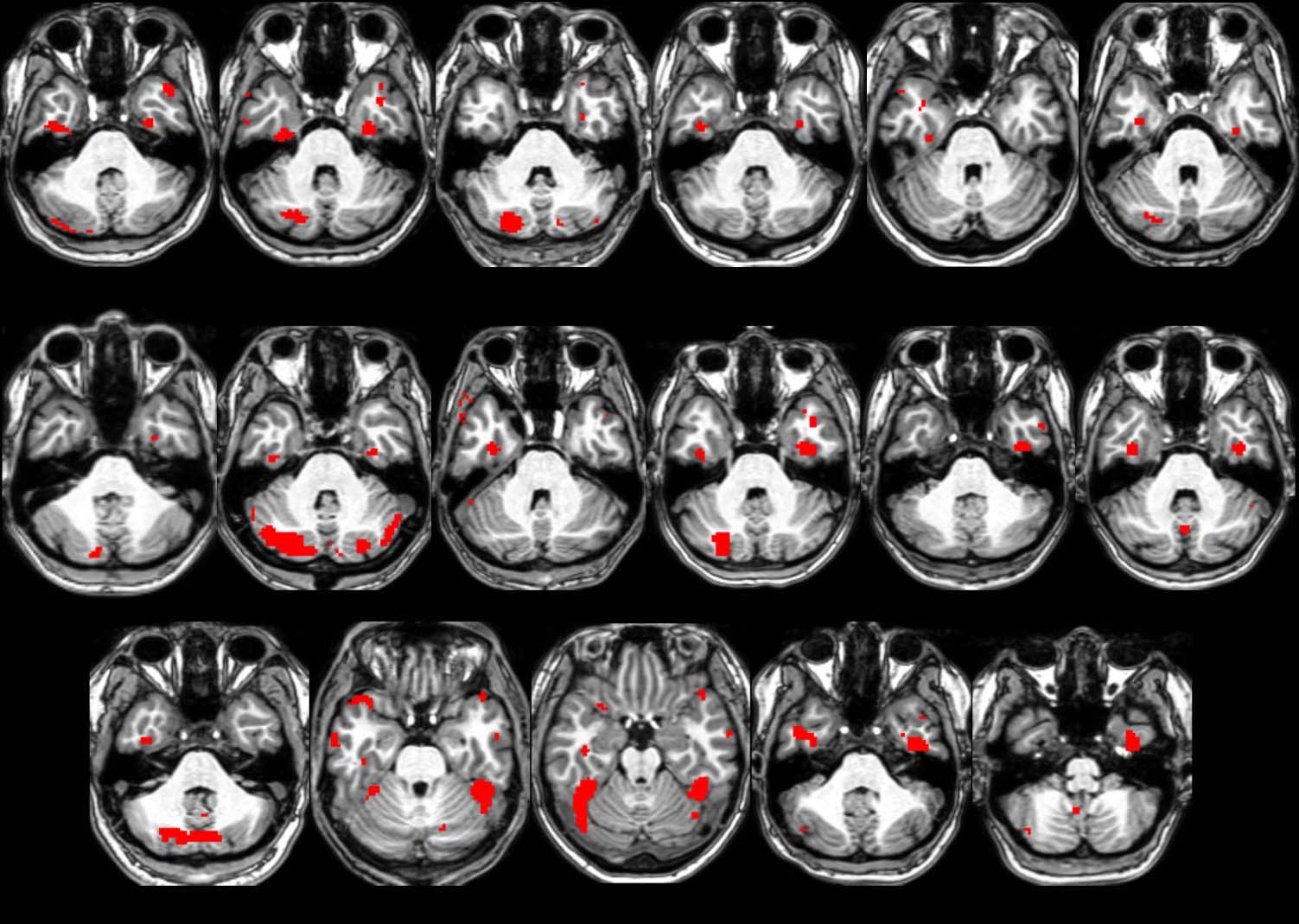 Evidence for Integrated Visual Face and Body image