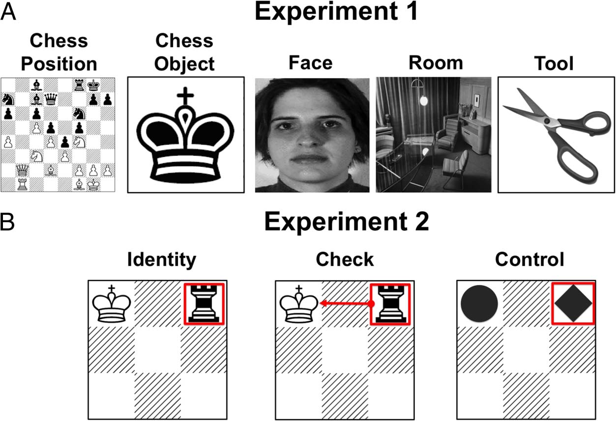 Revisiting the Role of the Fusiform Face Area in Expertise image