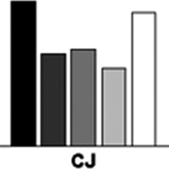 Temporal Binding and Segmentation in Visual Search: image