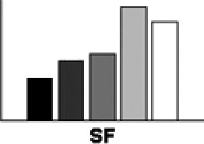 Temporal Binding and Segmentation in Visual Search: image