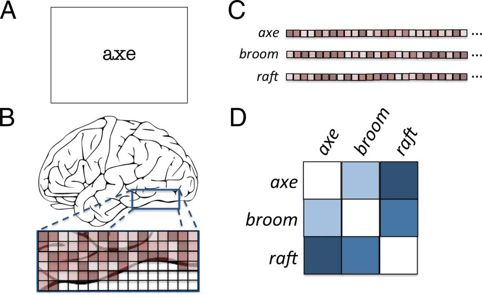 Semantic Structural Alignment of Neural Representational image