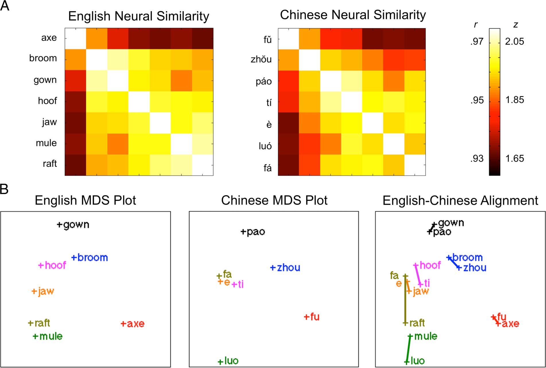 Semantic Structural Alignment of Neural Representational image