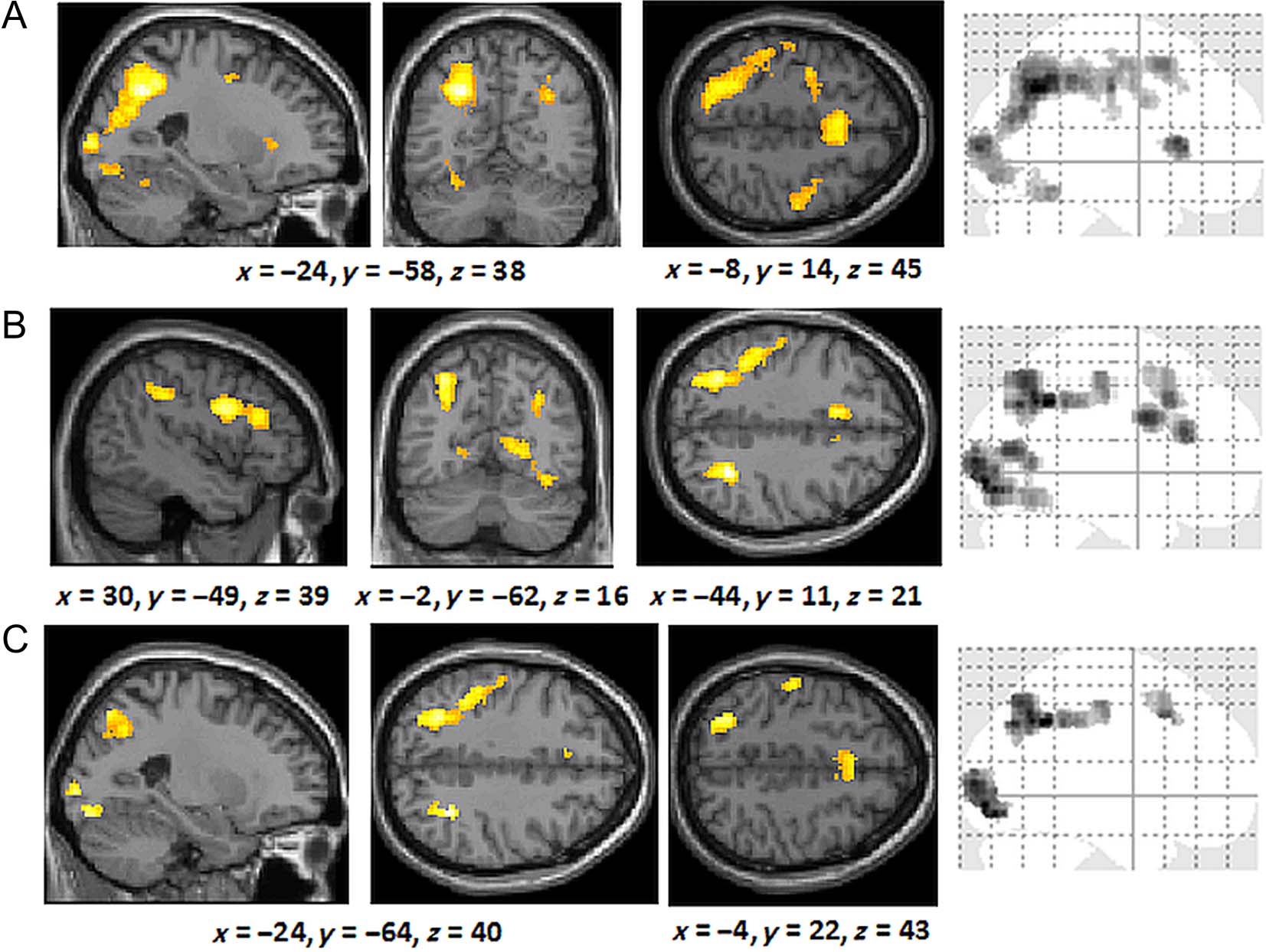 The Neural Correlates of Similarity- and image