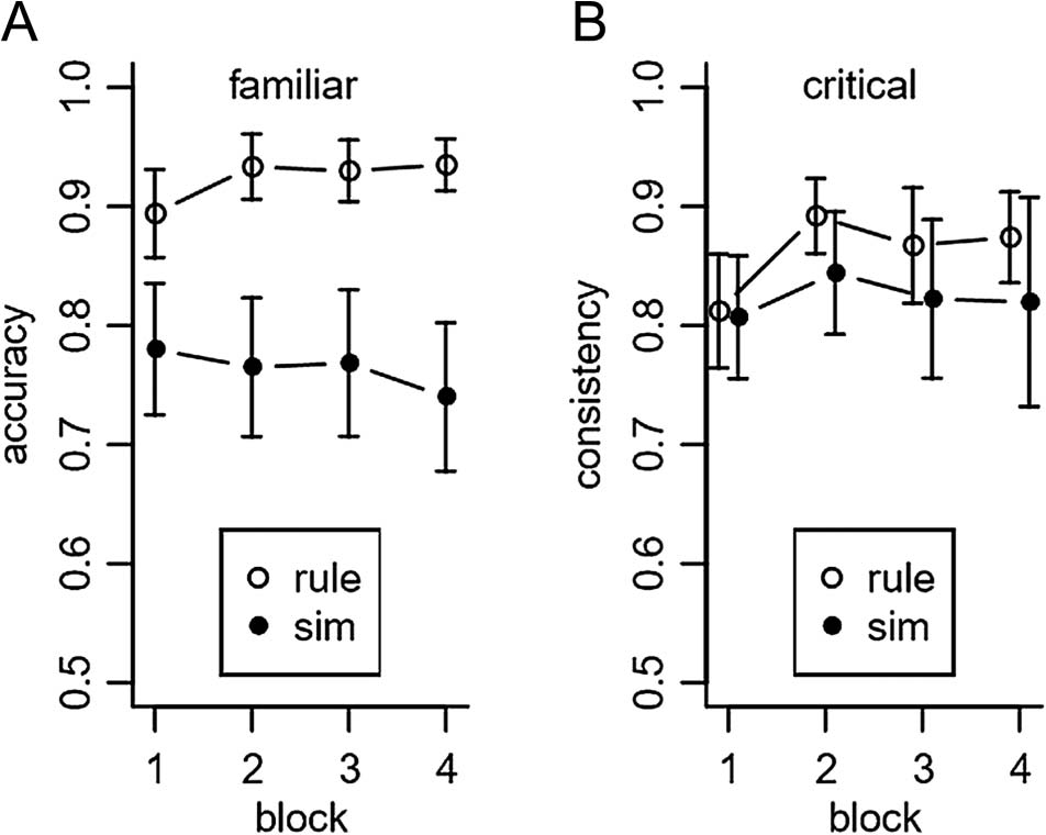 The Neural Correlates of Similarity- and image