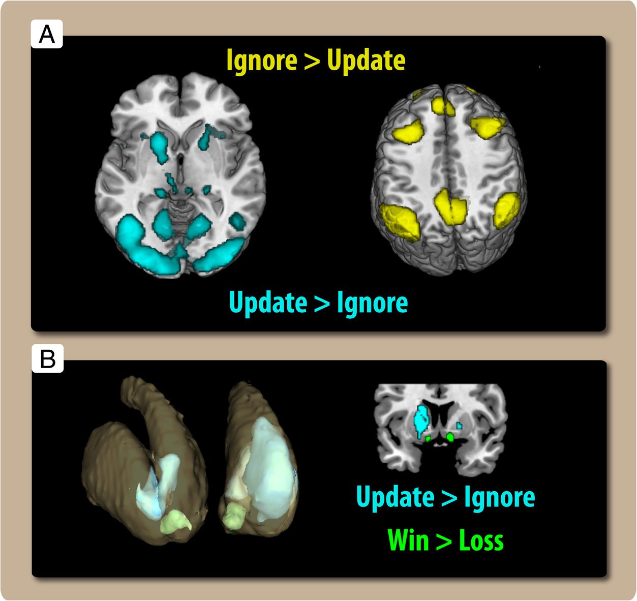 The Neurocognitive Cost of Enhancing Cognition with image