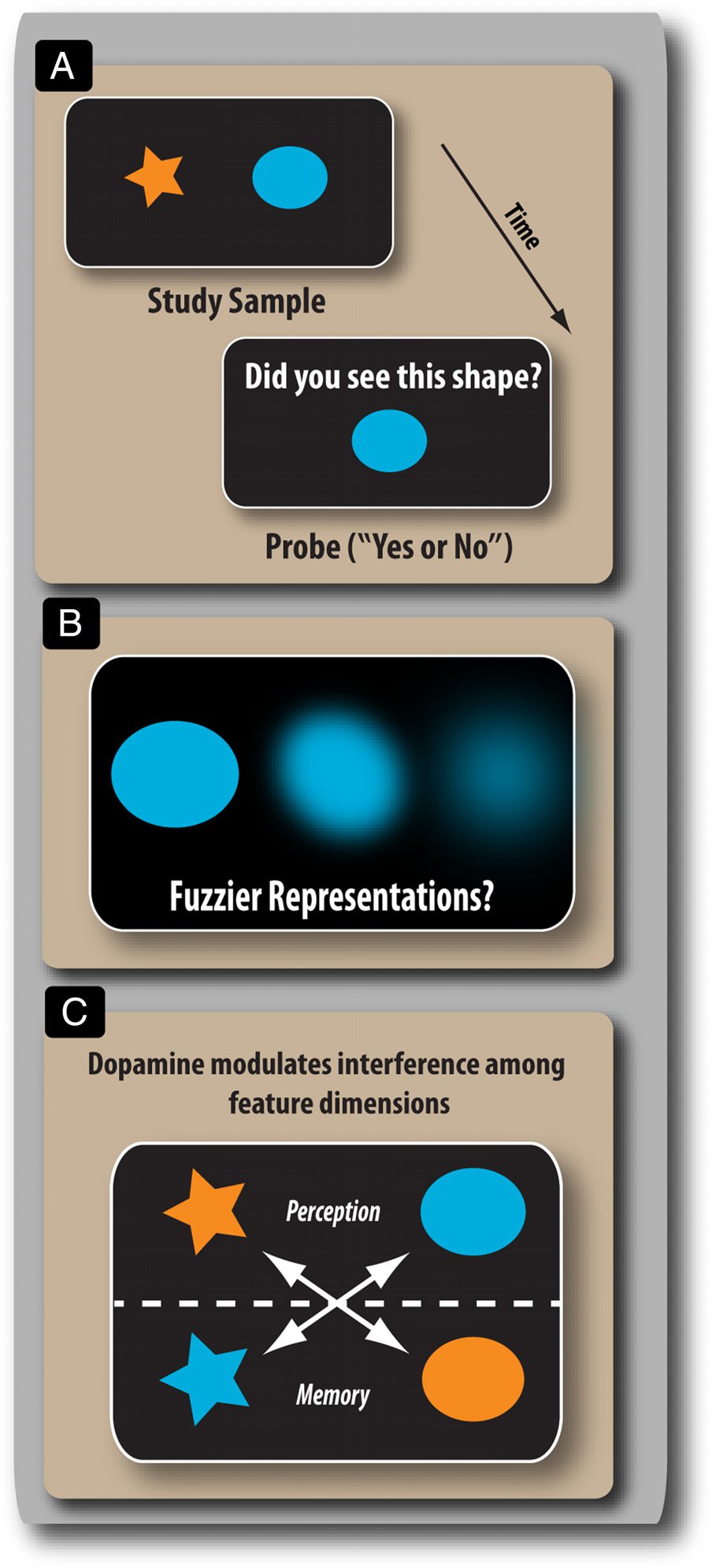 Dopamine Alters the Fidelity of Working Memory image