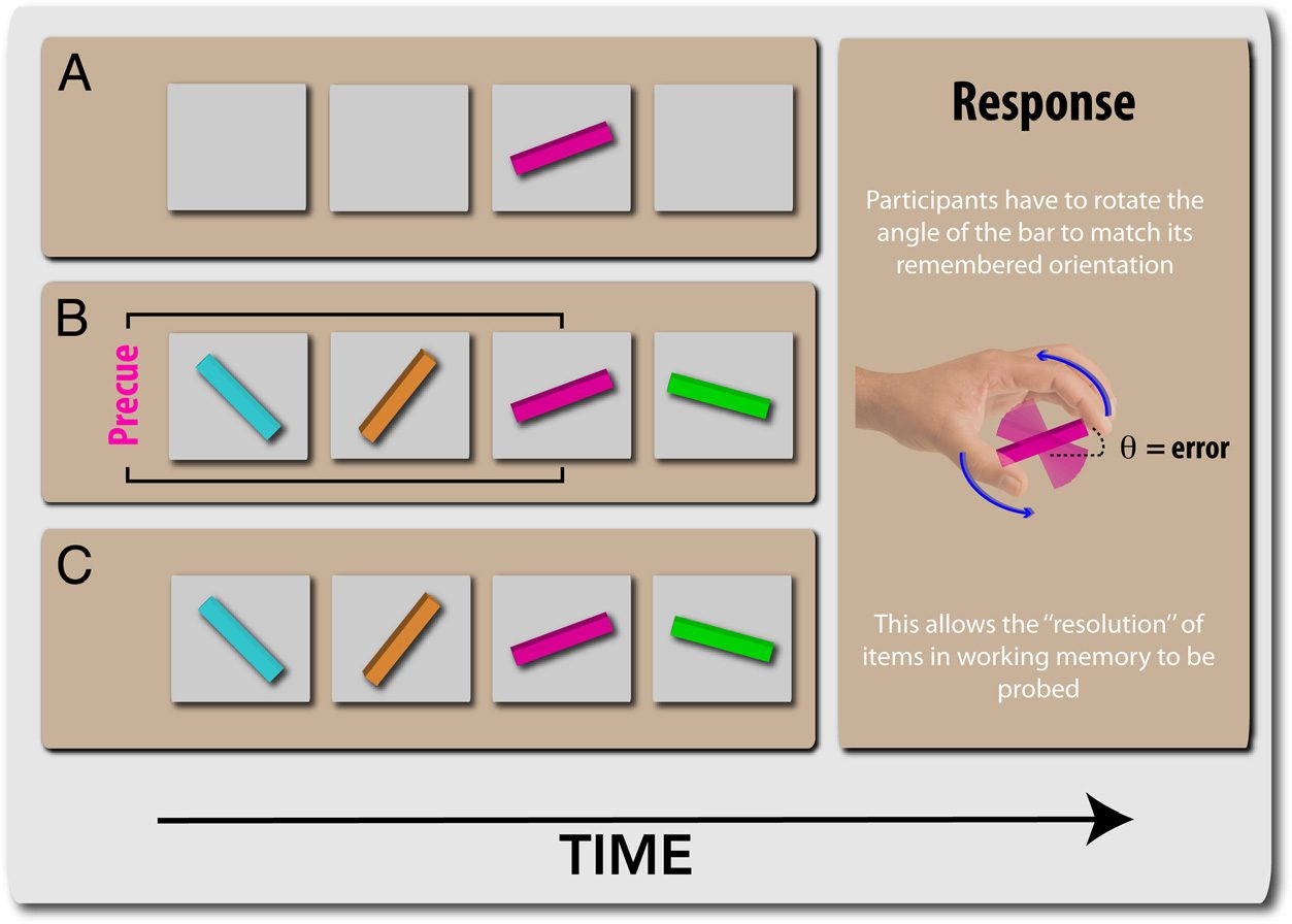 Dopamine Alters the Fidelity of Working Memory image