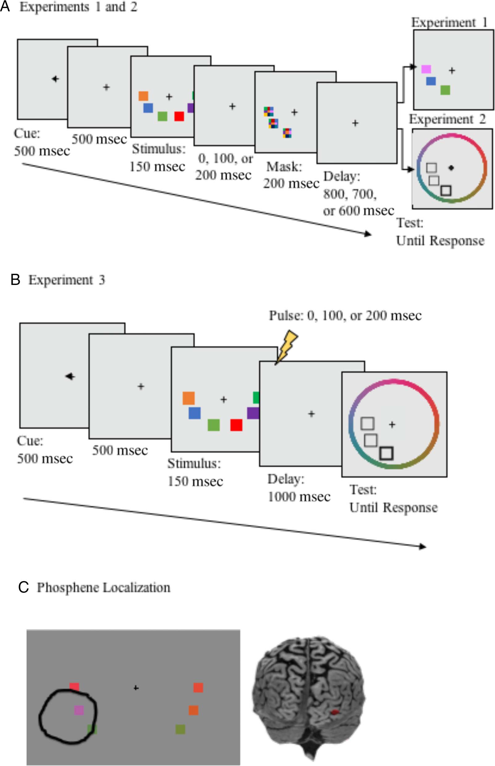 Assessing the Effect of Early Visual Cortex Transcranial image