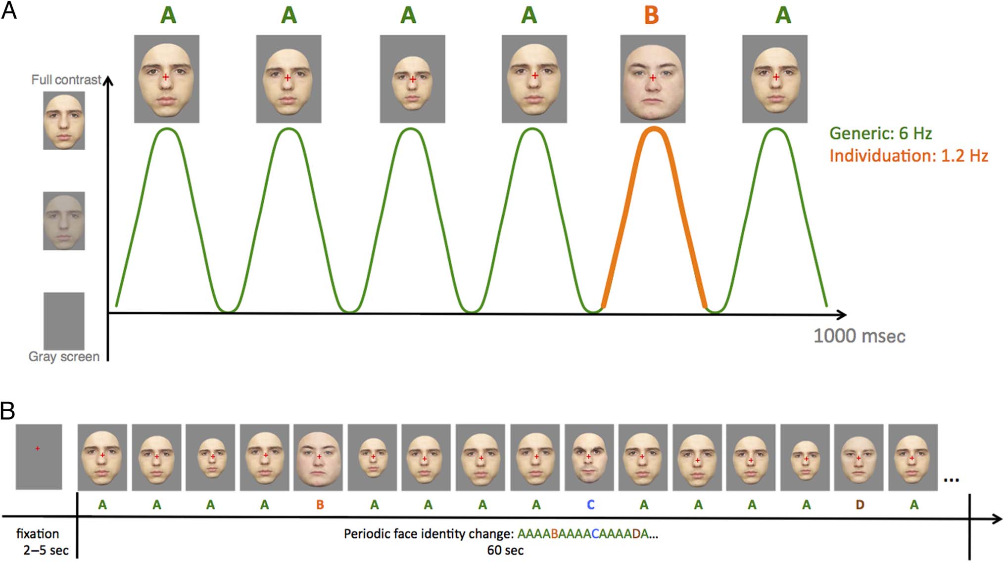 Individual Differences in Face Identity Processing image