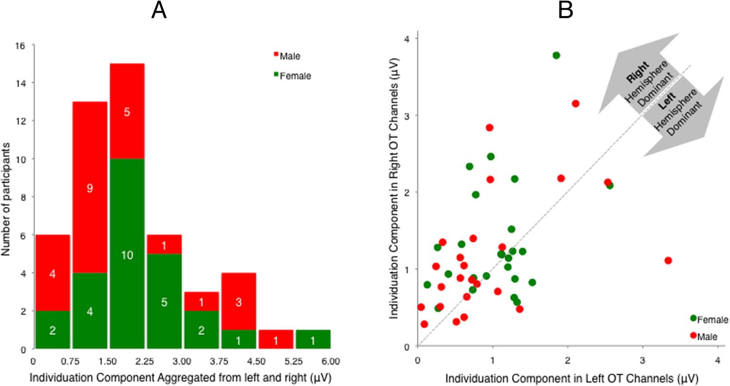 Individual Differences in Face Identity Processing image