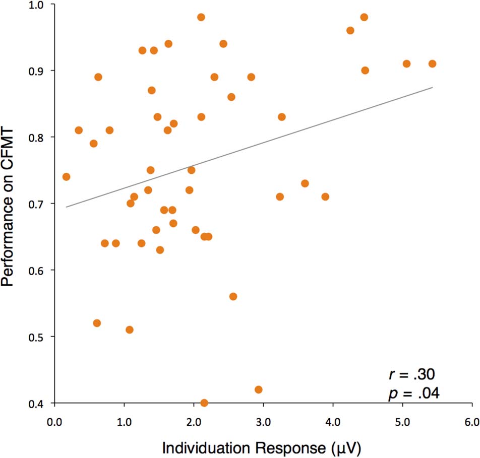 Individual Differences in Face Identity Processing image