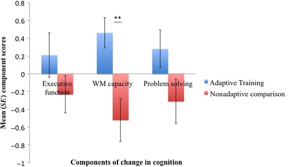 Dynamics of White Matter Plasticity Underlying Working image