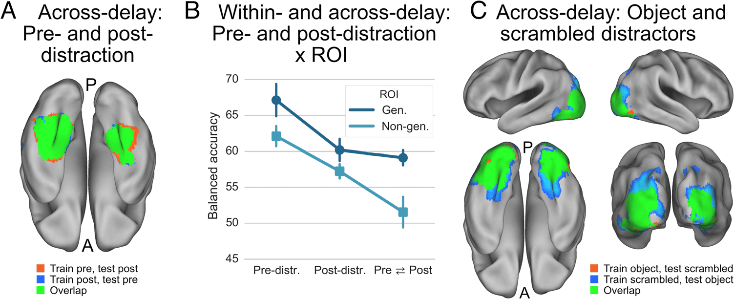 Distractor-resistant Short-Term Memory Is Supported by image