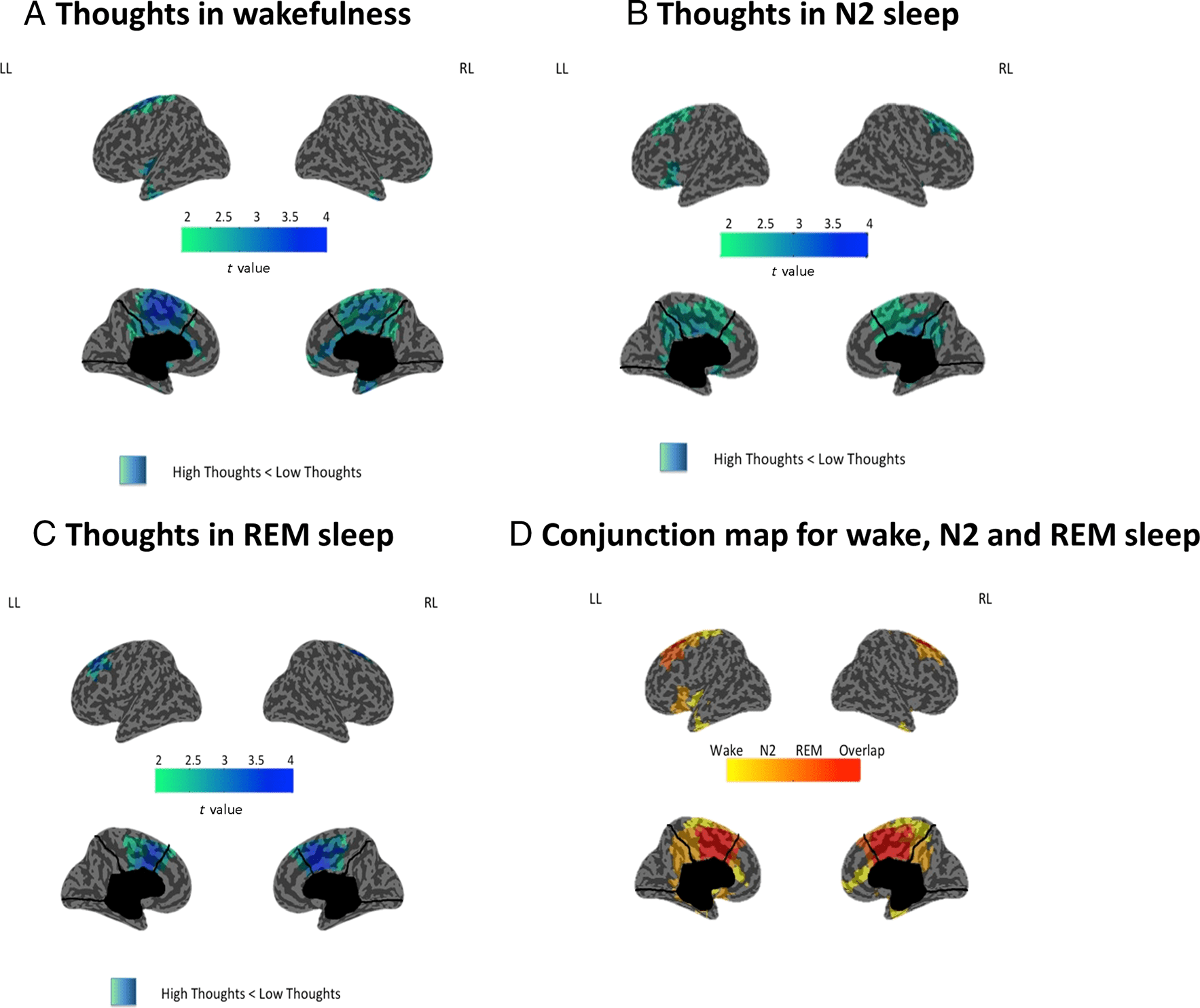 The Phenomenal Contents and Neural Correlates image