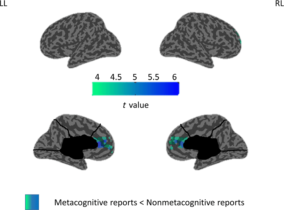 The Phenomenal Contents and Neural Correlates image