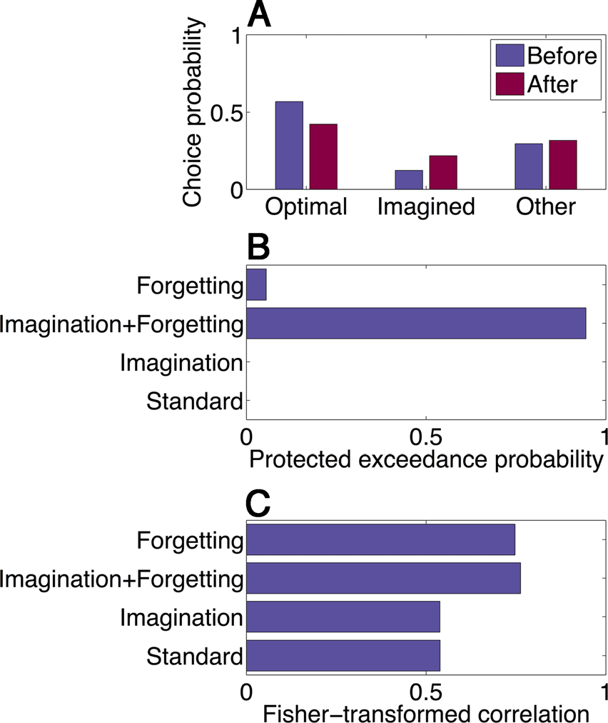 Imaginative Reinforcement Learning: Computational image