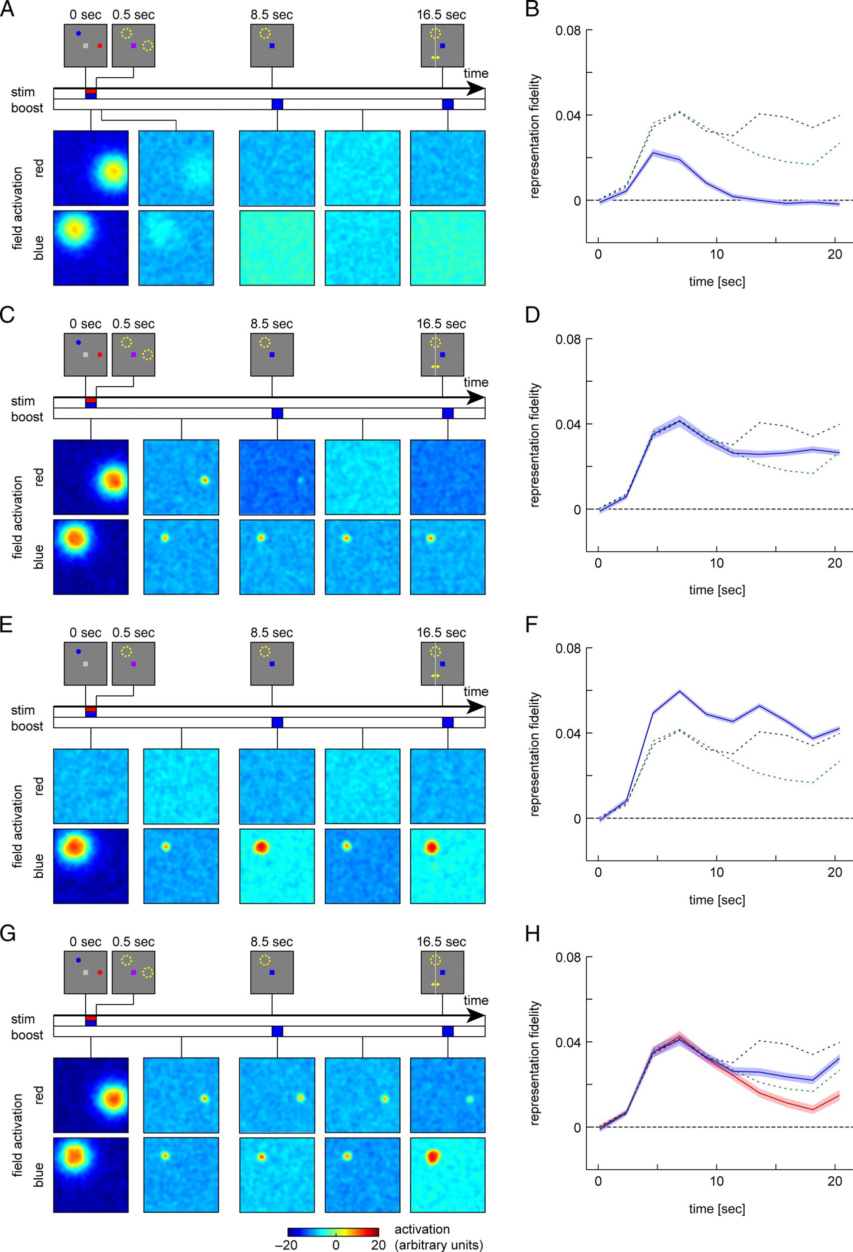 Restoration of fMRI Decodability Does Not Imply image