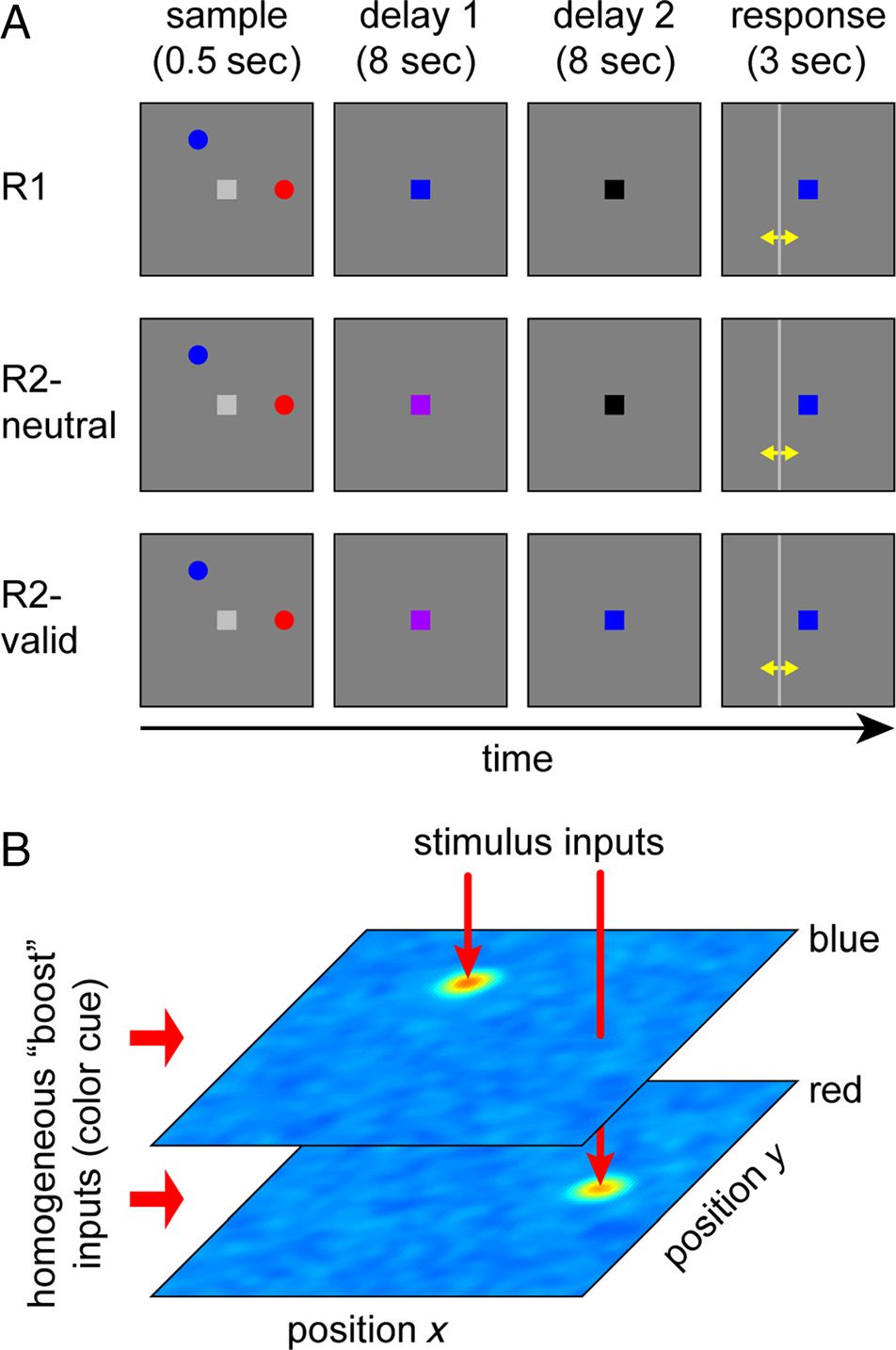 Restoration of fMRI Decodability Does Not Imply image