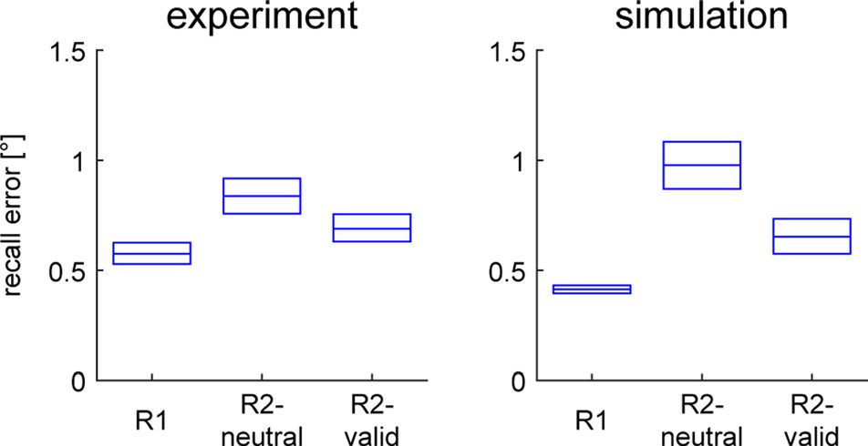 Restoration of fMRI Decodability Does Not Imply image