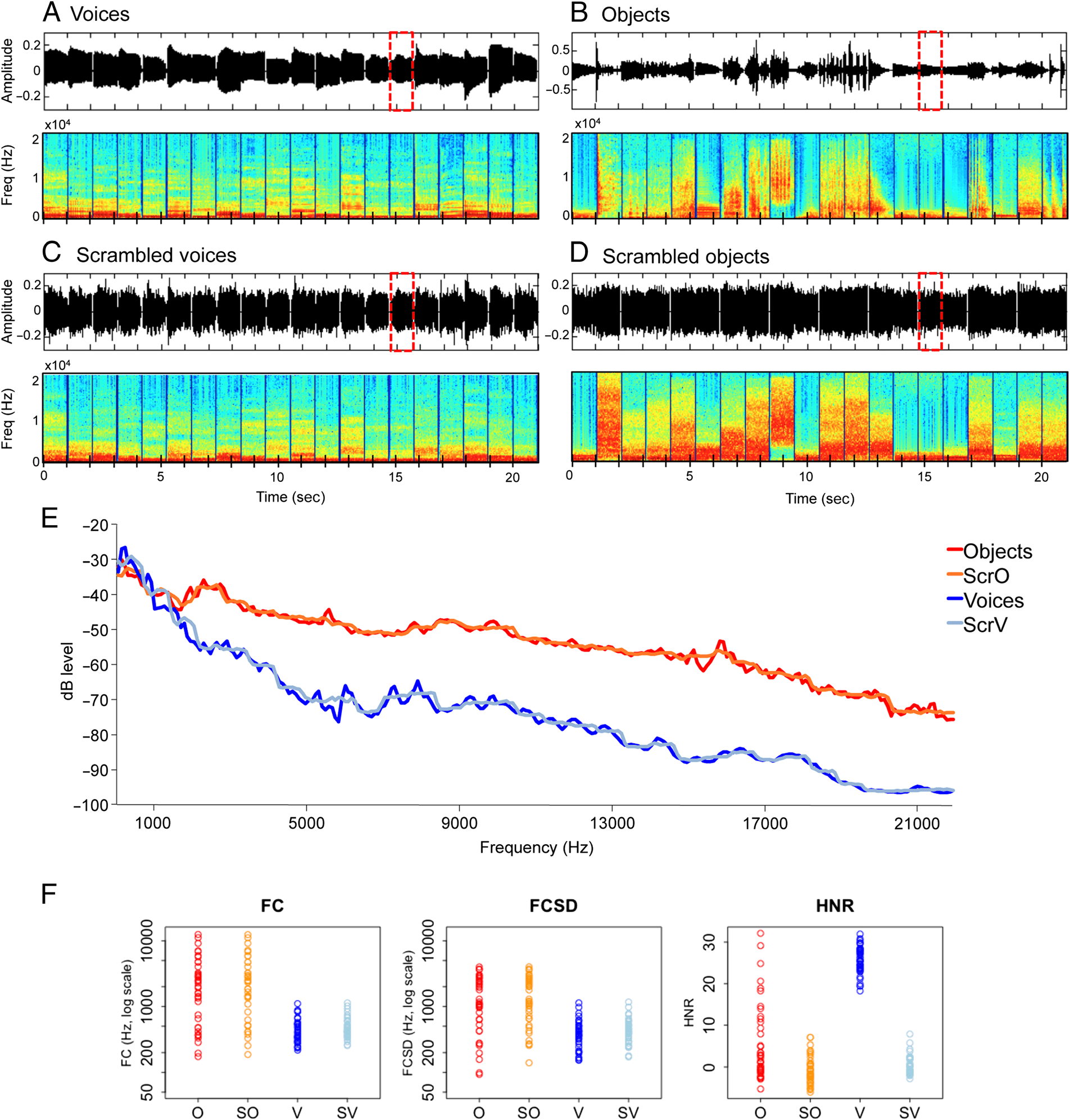 Functional Preference for Object Sounds and image