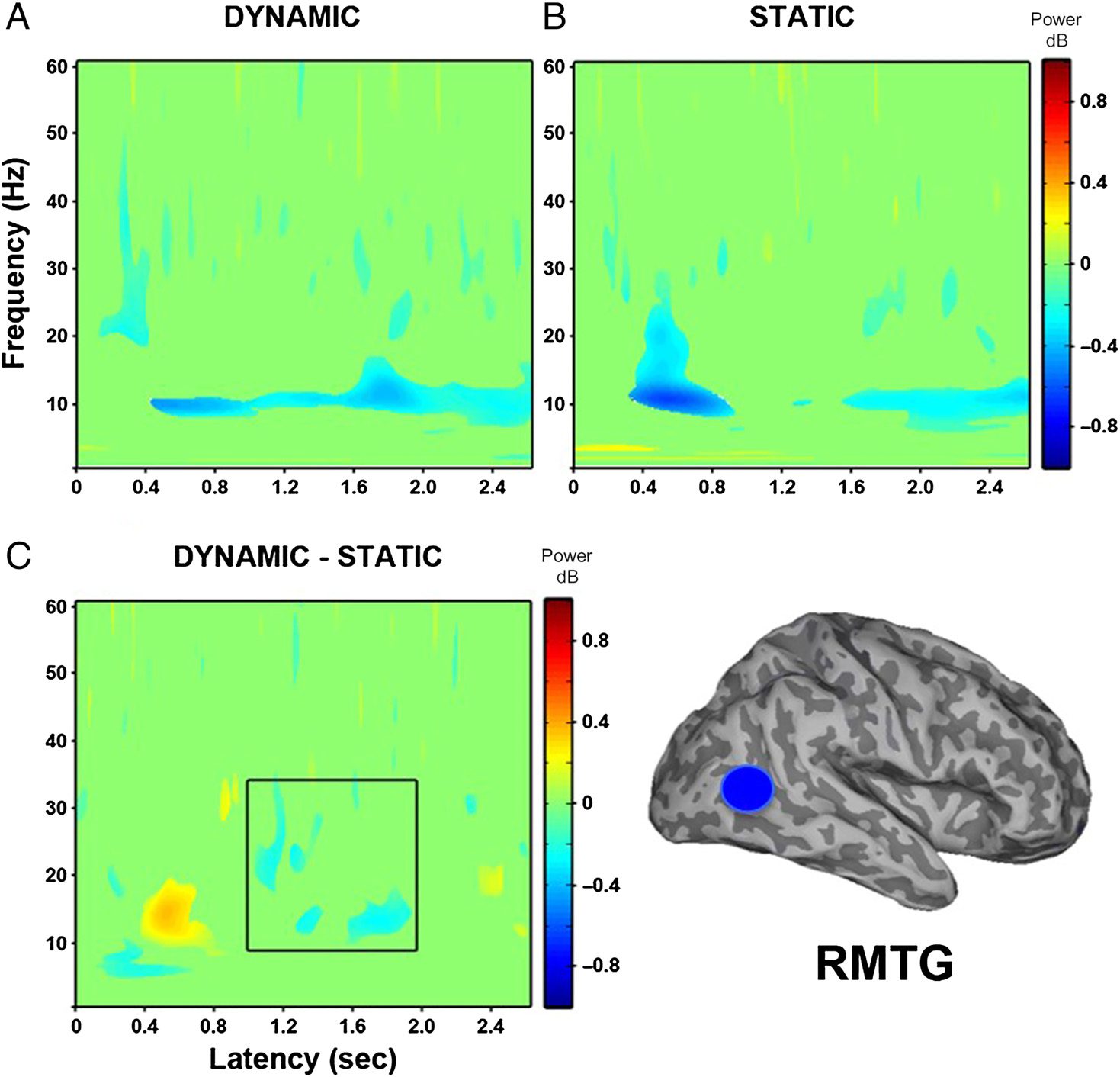 Modulation of Neural Oscillatory Activity image