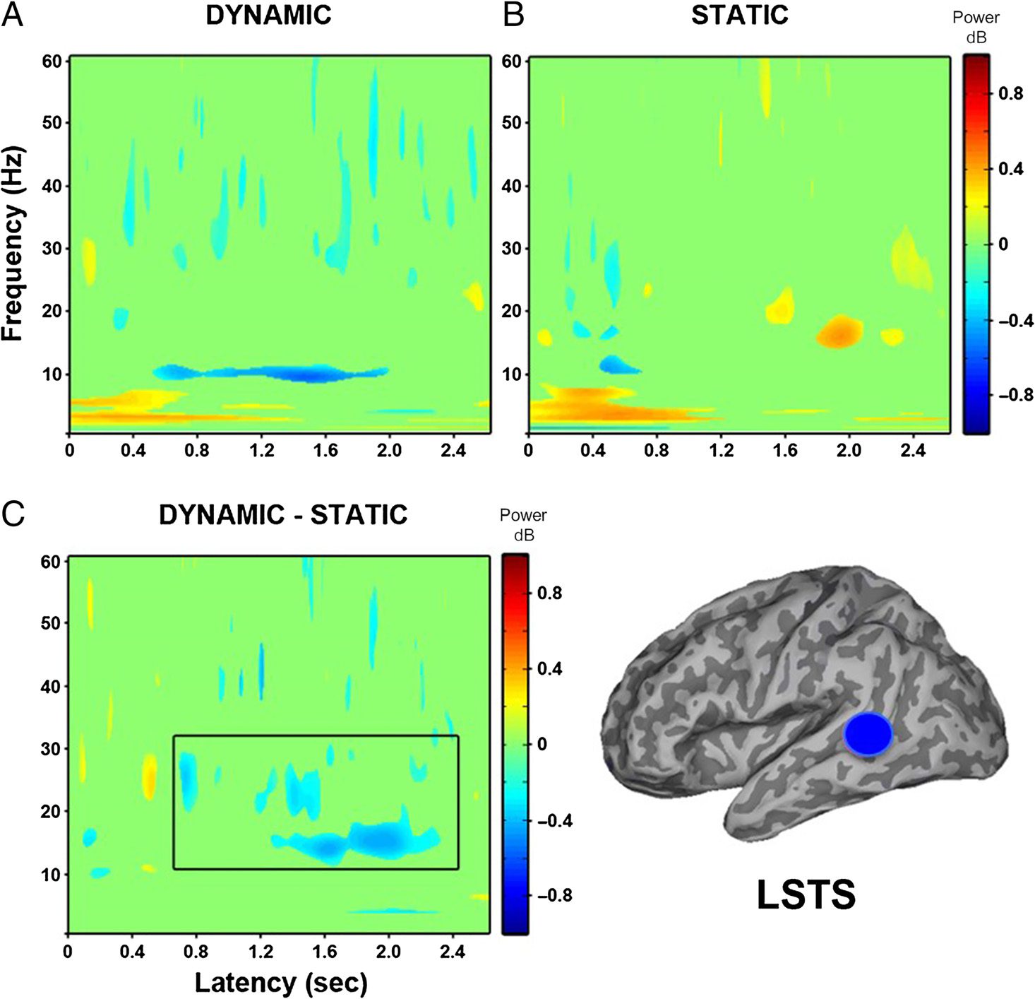 Modulation of Neural Oscillatory Activity image