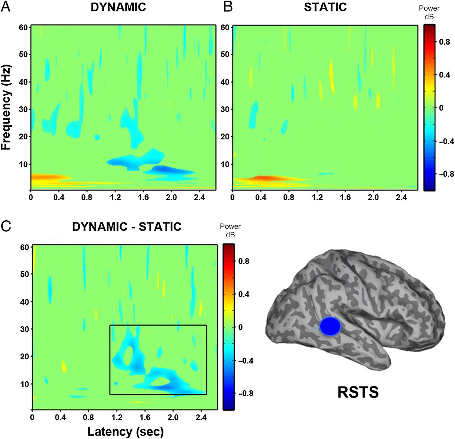 Modulation of Neural Oscillatory Activity image