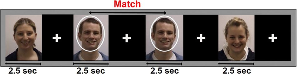 Modulation of Neural Oscillatory Activity image