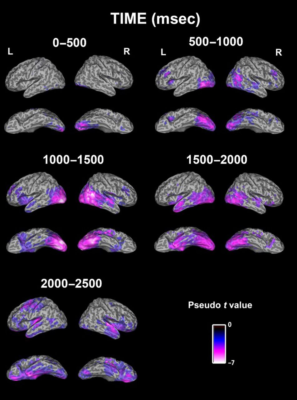 Modulation of Neural Oscillatory Activity image