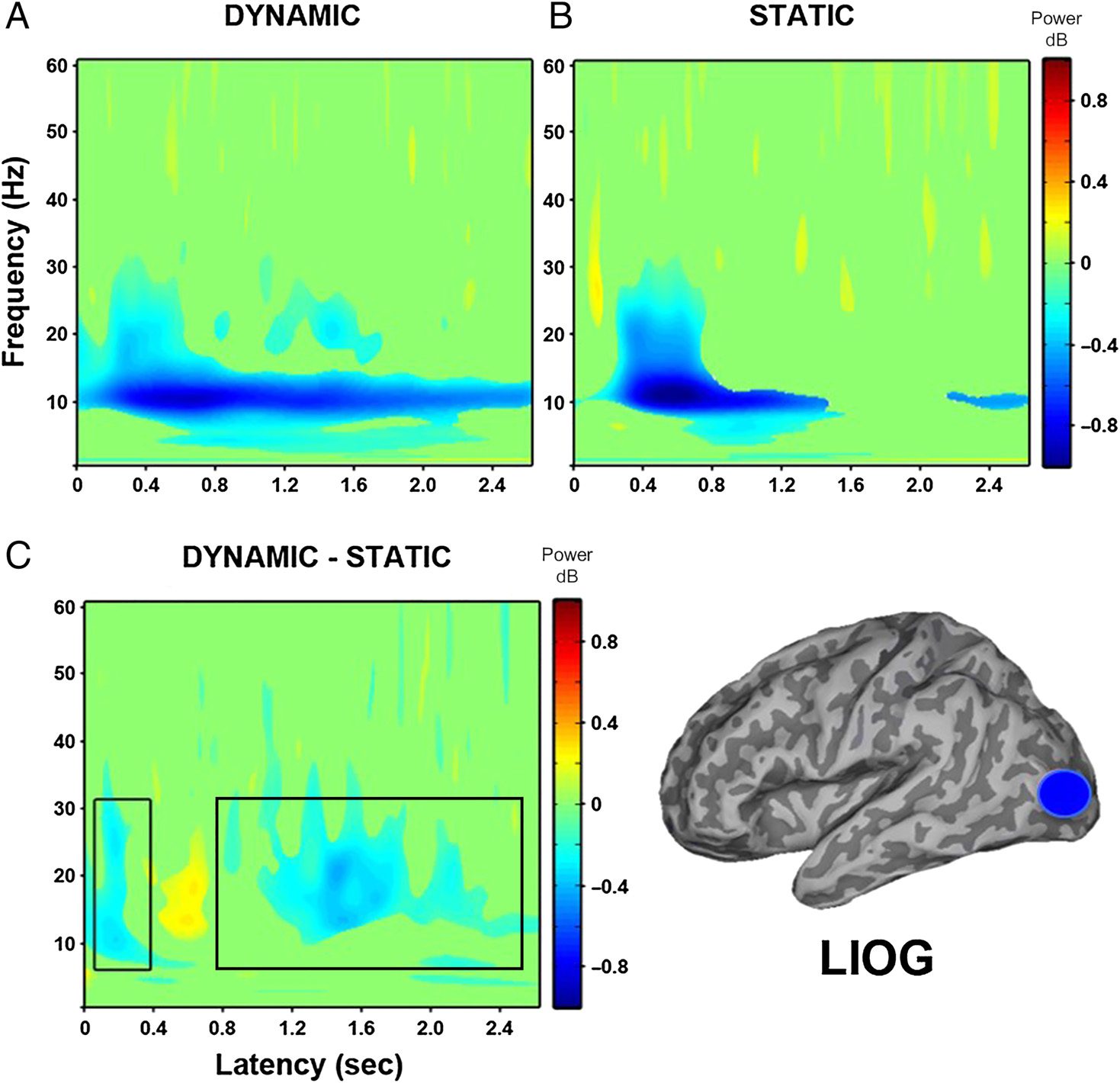 Modulation of Neural Oscillatory Activity image